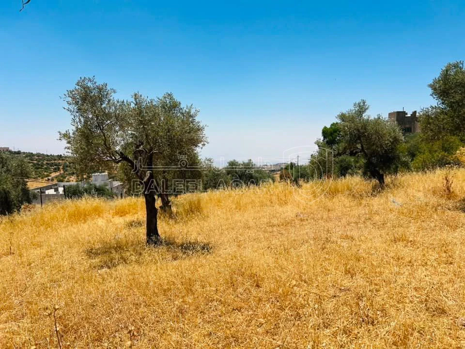 أرض في السلط / بطنا  - 40,000 دأ - صورة 6