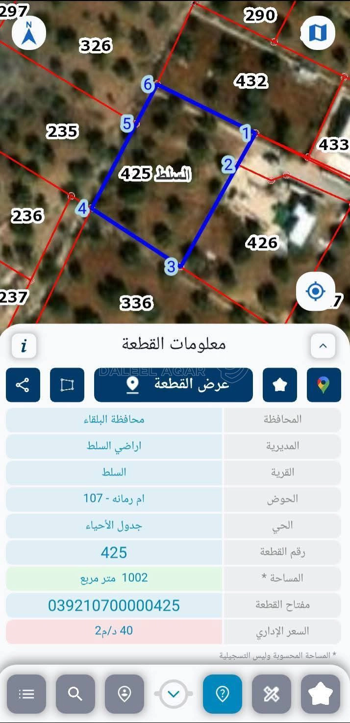 أرض في السلط / بطنا  - 40,000 دأ - صورة 2