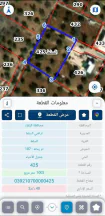 أرض في السلط / بطنا  - 40,000 دأ - صورة NaN