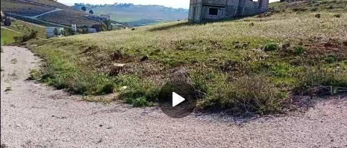 أرض في فرصة ذهبية لامتلاك أرض سكنية مميزة م625 على 3 شارع - 8,200 دأ - صورة 1