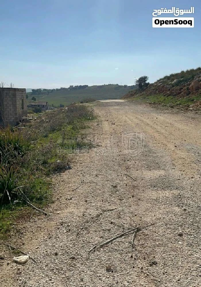 أرض في فرصة ذهبية لامتلاك أرض سكنية مميزة م625 على 3 شارع - 8,500 دأ - صورة 13