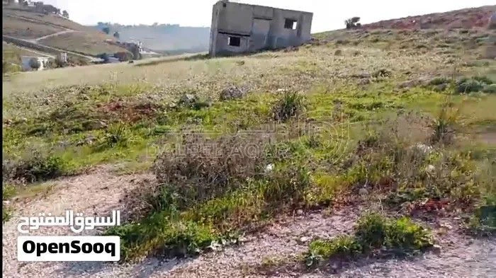 أرض في فرصة ذهبية لامتلاك أرض سكنية مميزة م625 على 3 شارع - 8,500 دأ - صورة 3