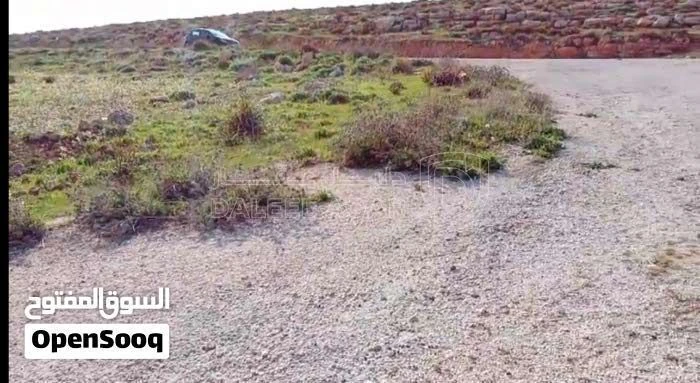 أرض في فرصة ذهبية لامتلاك أرض سكنية مميزة م625 على 3 شارع - 8,500 دأ - صورة 16