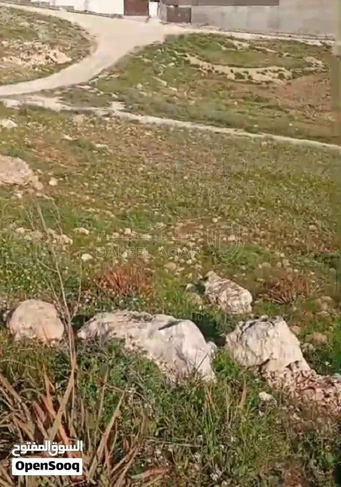 أرض في فرصة ذهبية لامتلاك أرض سكنية مميزة م625 على 3 شارع - 8,500 دأ - صورة 7
