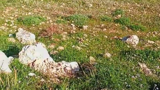 أرض في فرصة ذهبية لامتلاك أرض سكنية مميزة م625 على 3 شارع - 8,500 دأ - صورة NaN