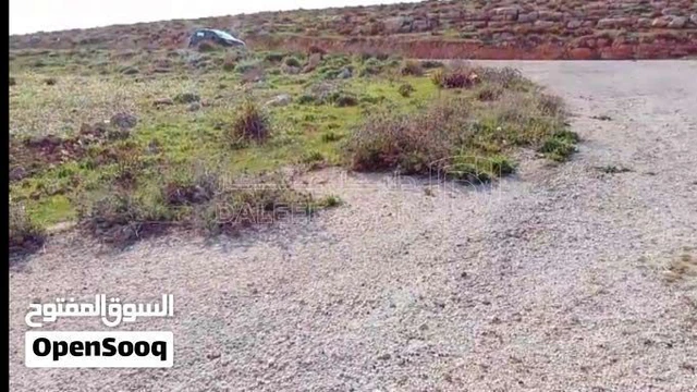 أرض في فرصة ذهبية لامتلاك أرض سكنية مميزة م625 على 3 شارع - 8,500 دأ - صورة NaN
