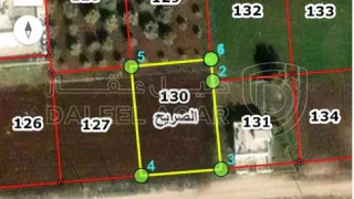 أرض - اربد الصريح السلمان الشمالي جنوب شارع البتراء تبعد عن شارع البتراء حوالي ١٧٥ متر - 75000 دأ