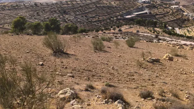 أرض في من المالك مباشرة بيرين القصبات 635 متر - 34,000 دأ - صورة 1