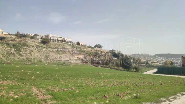 أرض - قطعة  ارض للبيع في عيون الجاموس من اراضي ناعور - 133560 دأ