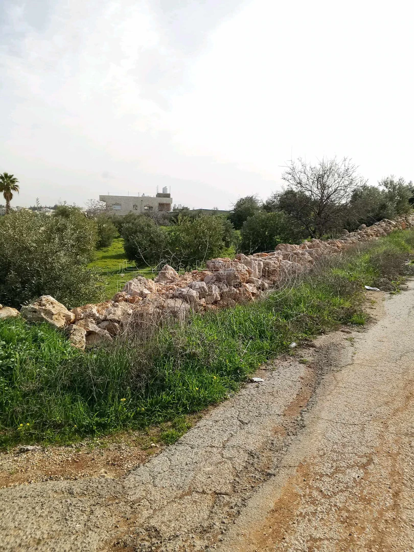 أرض في 1043م سكن ب على شارعين ناعور المنيف بسعر مناسب  - 140,000 دأ - صورة 1
