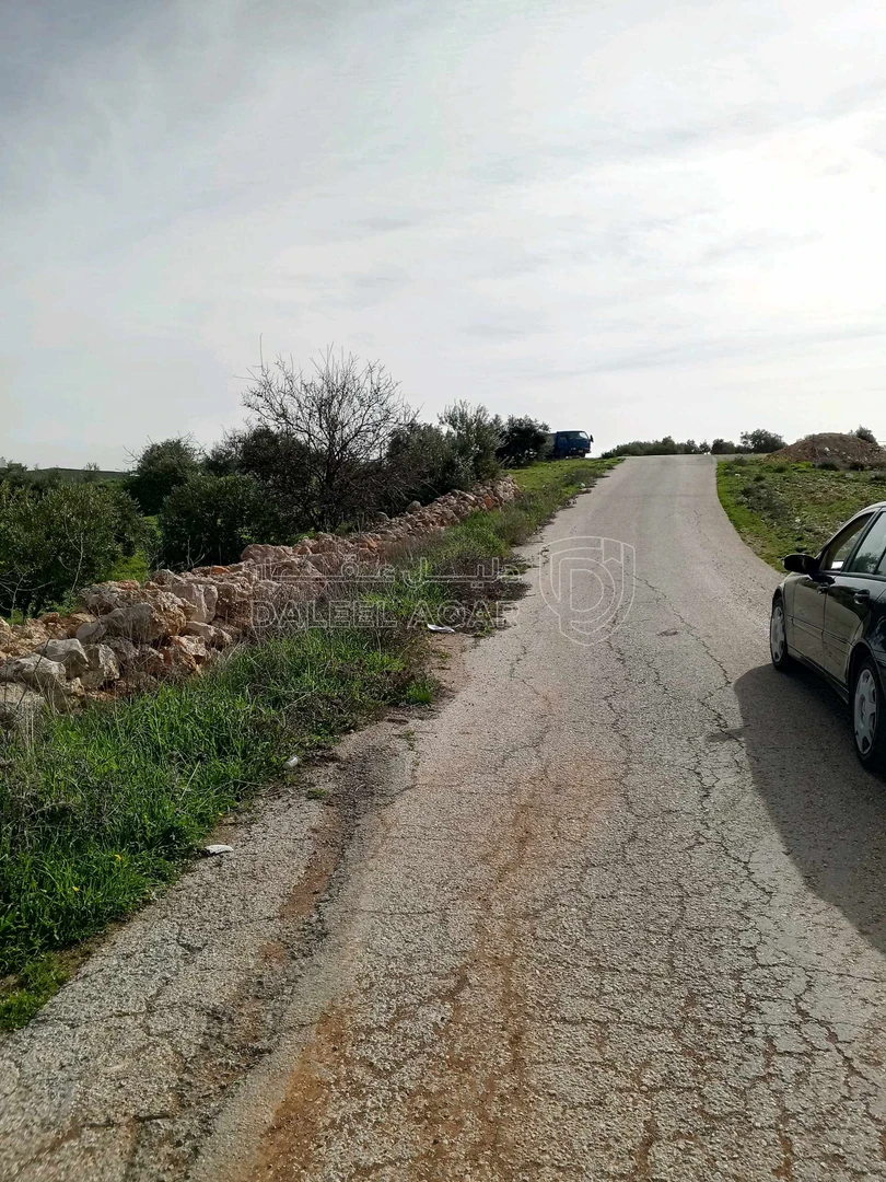 أرض في 1043م سكن ب على شارعين ناعور المنيف بسعر مناسب  - 140,000 دأ - صورة 1