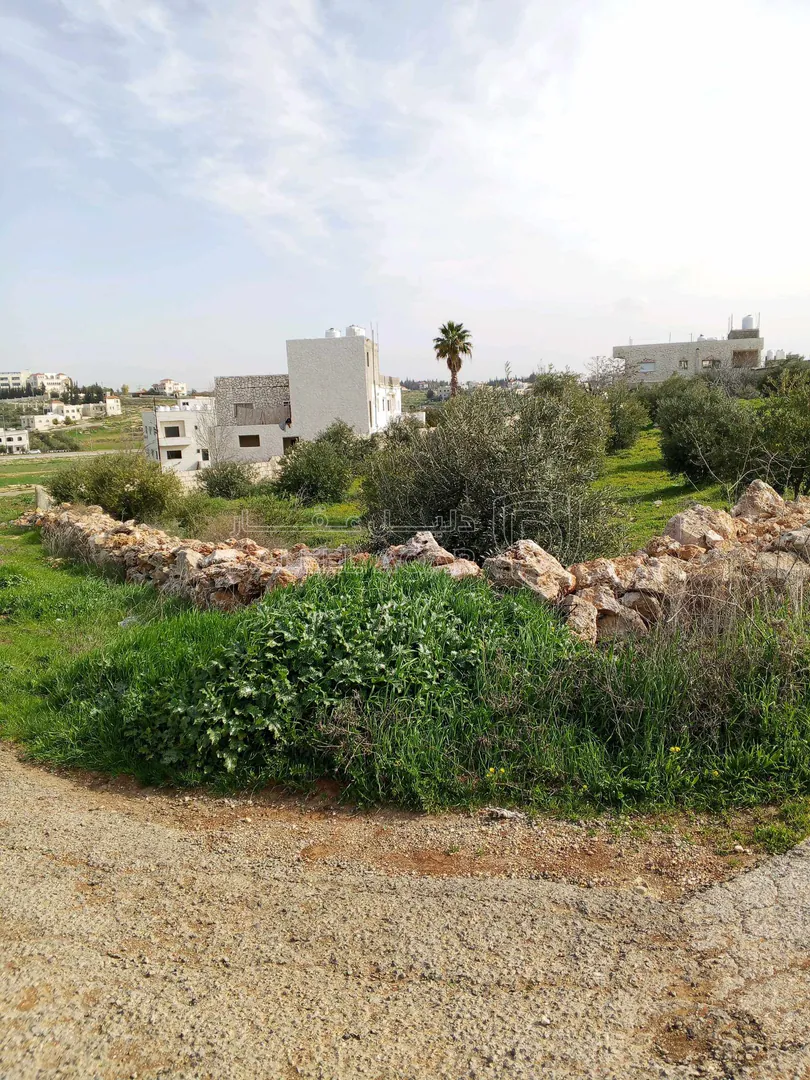 أرض في 1043م سكن ب على شارعين ناعور المنيف بسعر مناسب  - 140,000 دأ - صورة 1
