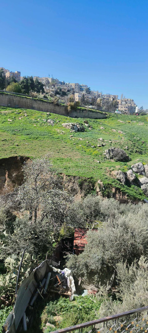 أرض في عنوان العقار صويلح نزول صافوط حي عثمان بن عفان  - 70,000 دأ - صورة 1