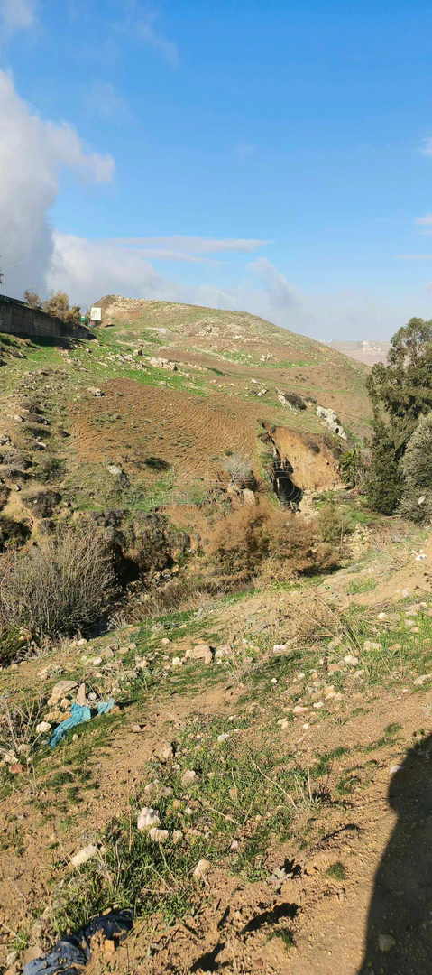 أرض في عنوان العقار صويلح نزول صافوط حي عثمان بن عفان  - 70,000 دأ - صورة 1