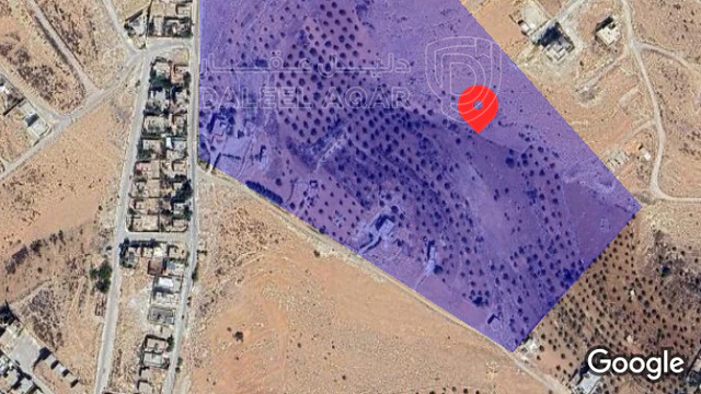أرض - الزرقاء بيرين ام رمانه - 25000 دأ