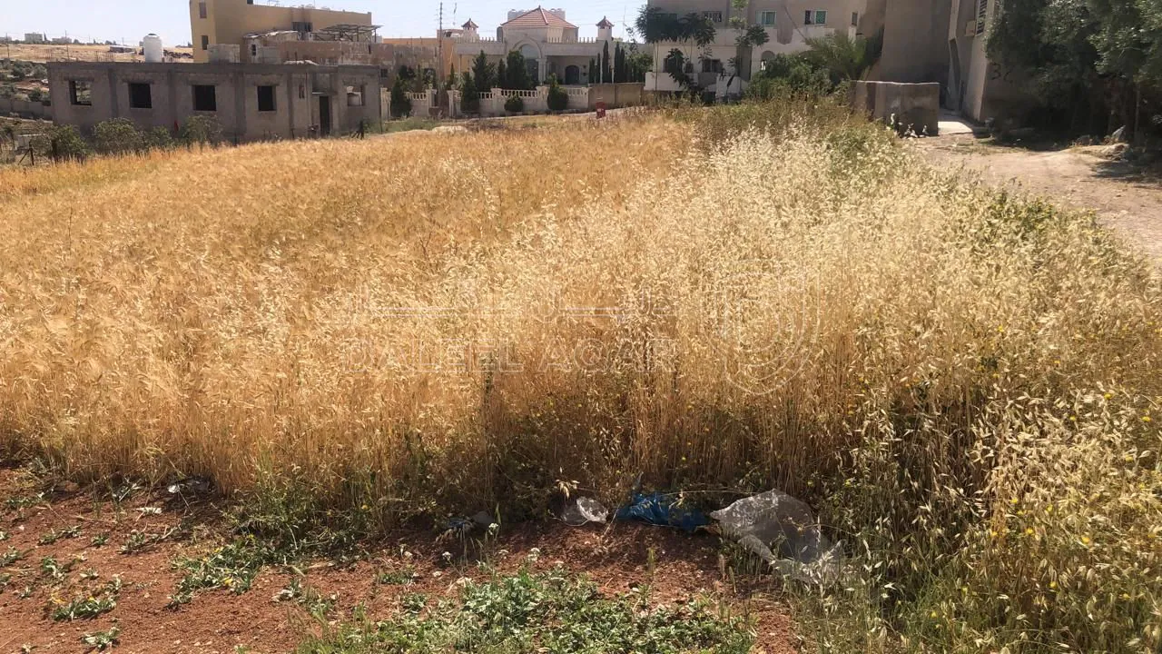 أرض في مادبا الفيحاء الجازل  - 55,000 دأ - صورة 1
