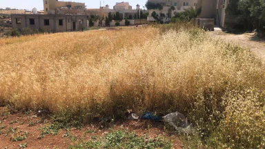 أرض في مادبا الفيحاء الجازل  - 55,000 دأ - صورة NaN