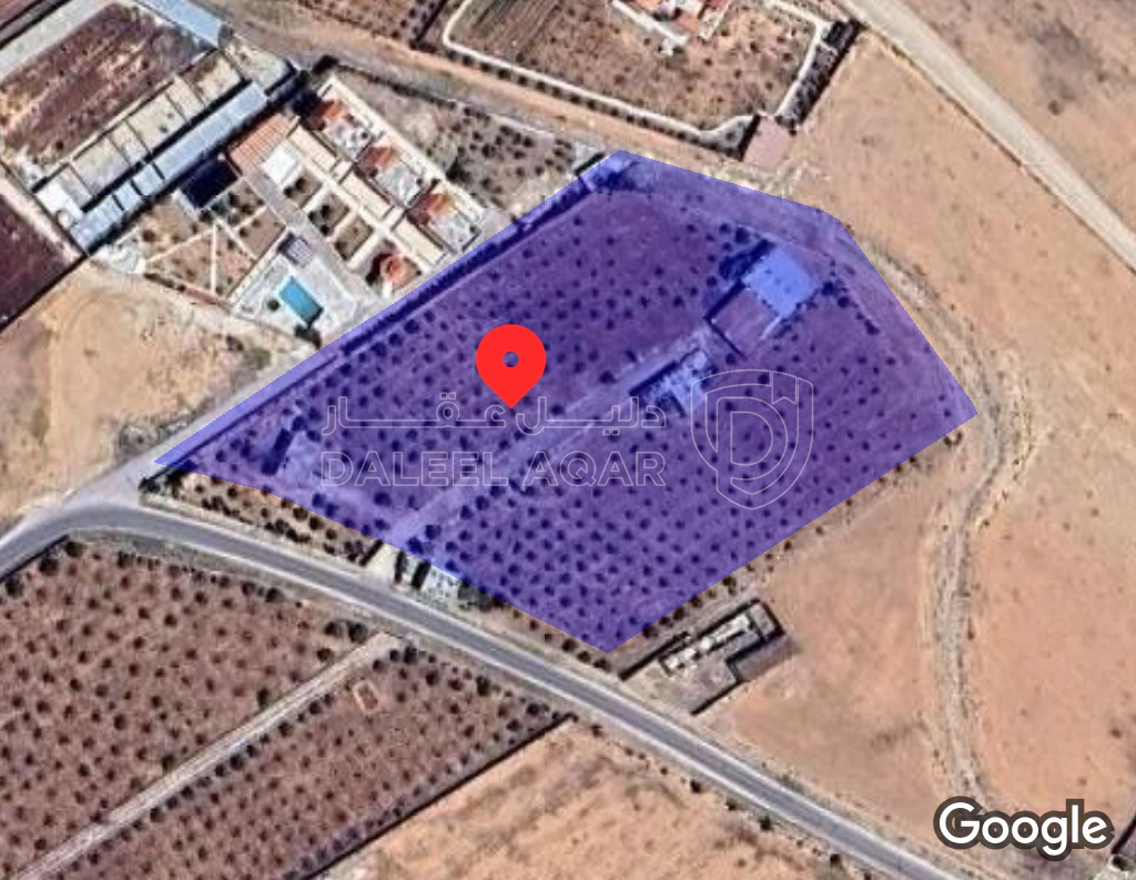 أرض في أرض للبيع المفرق منطقة يلعما تحديدا الزنية  - 30,000 دأ - صورة 1
