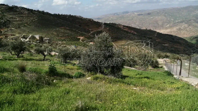 مزرعة/شاليه - حوض ابو بصيلة على طريق الماسورة في الصبيحي - السلط - 90000 دأ