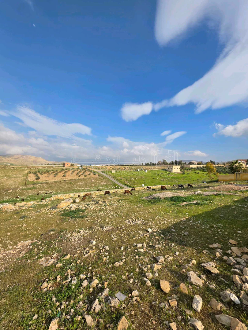 أرض في الزرقاء صروت خشيبة الشمالي - 68,000 دأ - صورة 1