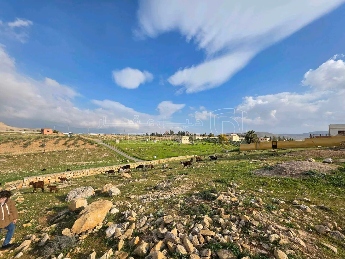 أرض في الزرقاء صروت خشيبة الشمالي - 68,000 دأ - صورة 1