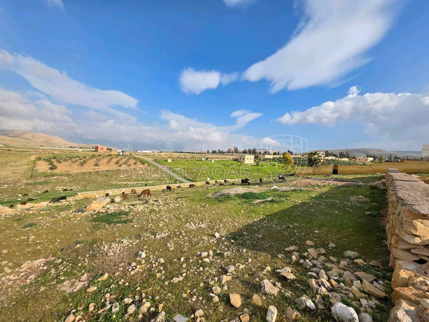 أرض في الزرقاء صروت خشيبة الشمالي - 68,000 دأ - صورة 1