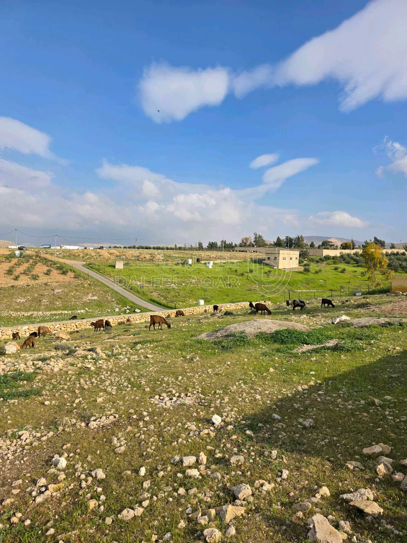 أرض في الزرقاء صروت خشيبة الشمالي - 68,000 دأ - صورة 1