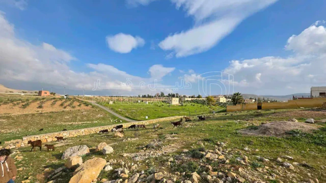 أرض في الزرقاء صروت خشيبة الشمالي - 65,000 دأ - صورة 1