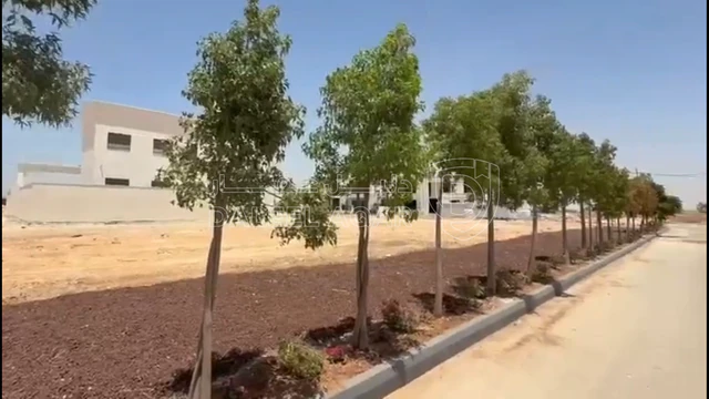 أرض - الطنيب حوض العيادات، مشروع الشهد ١ - 145000 دأ