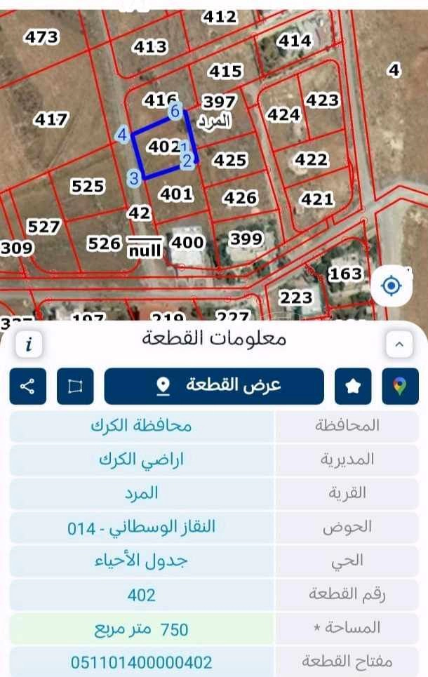 أرض في منطقة طليسا الكرك  - 27,000 دأ - صورة 1
