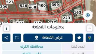 أرض - منطقة طليسا الكرك  - 27000 دأ
