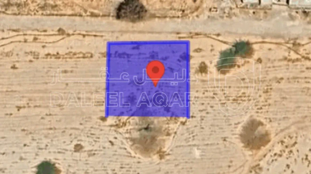 أرض في الشونة الجنوبية ، غور نمرين - 28,000 دأ - صورة 1