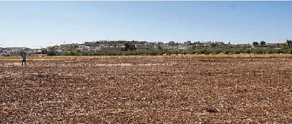 أرض في ناعور ، يبعد عن الدوار السابع 15 كيلو  - 37,000 دأ - صورة 1