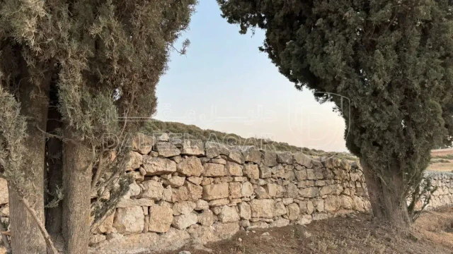 أرض في بلعاس - يبعد 6 دقائق عن طريق المطار - 195,000 دأ - صورة 1