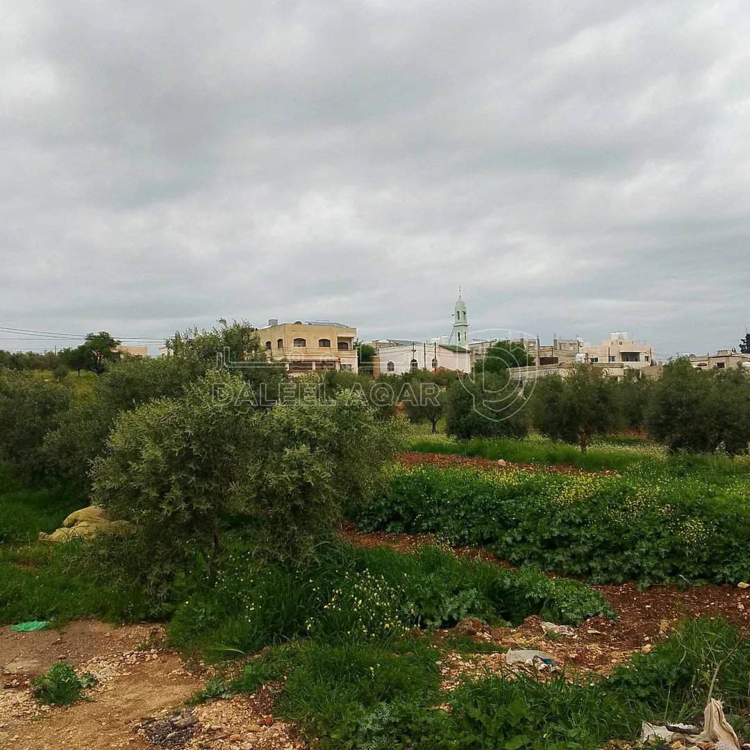 أرض في اربد بشرى قرب مدارس ساغو  - 34,000 دأ - صورة 1