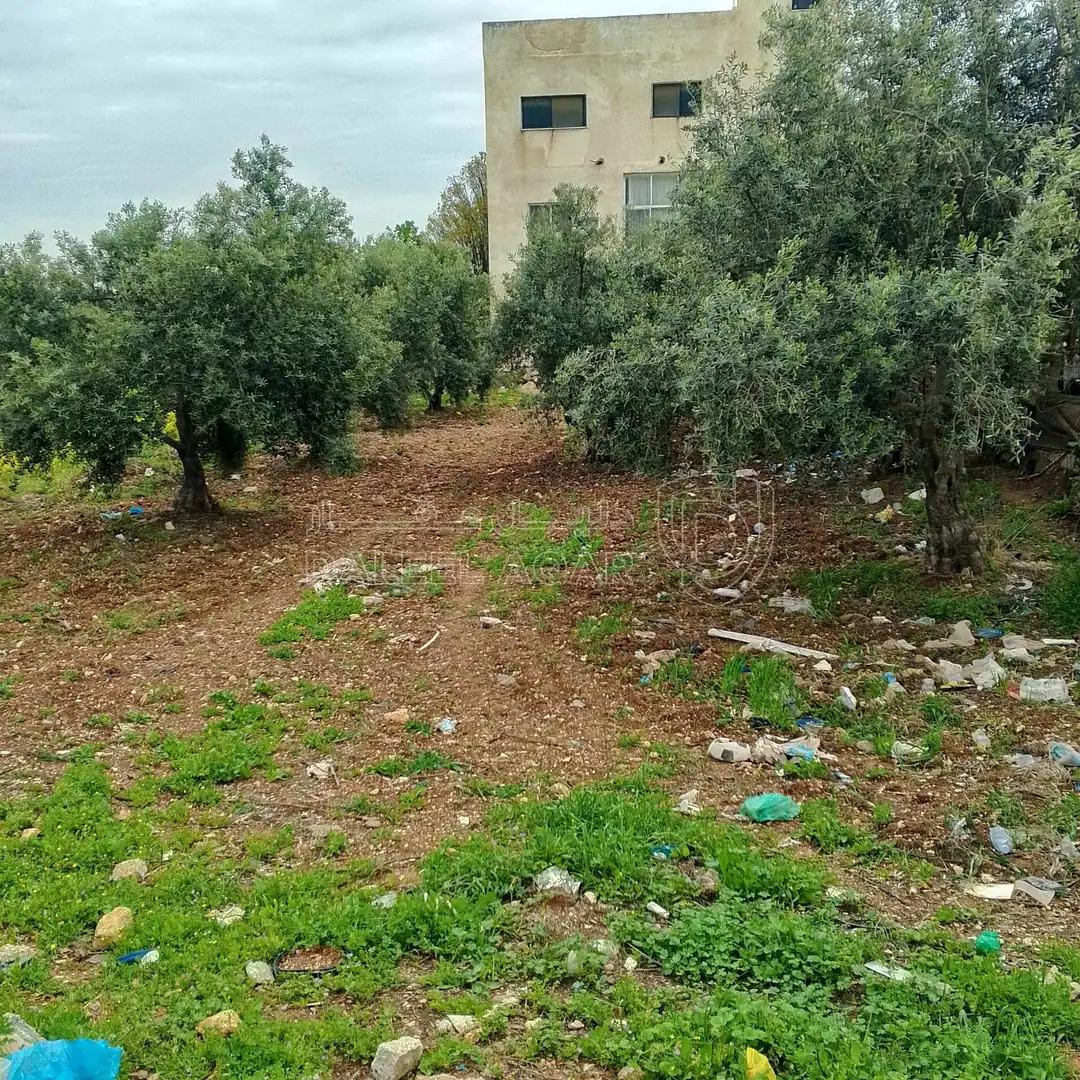 أرض في اربد بشرى قرب مدارس ساغو  - 34,000 دأ - صورة 1