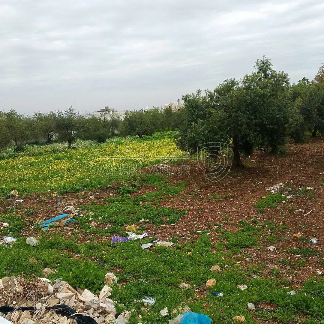 أرض في اربد بشرى قرب مدارس ساغو  - 34,000 دأ - صورة 1