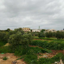 أرض في اربد بشرى قرب مدارس ساغو  - 34,000 دأ - صورة NaN