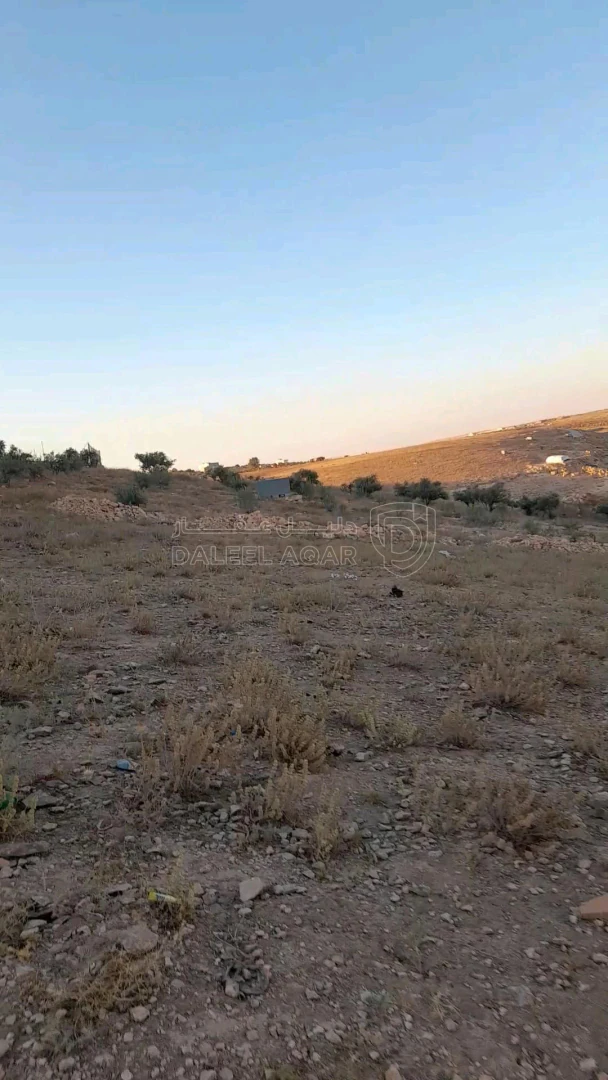 أرض في ارض سكنية صخرية استثمارية منظمة مفروزة 730 متر  - 16,790 دأ - صورة 3