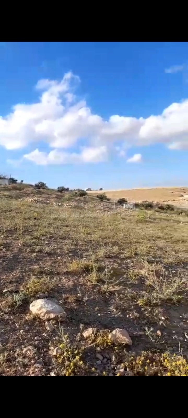 أرض في ارض سكنية صخرية استثمارية منظمة مفروزة 730 متر  - 16,790 دأ - صورة 8