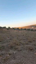 أرض في ارض سكنية صخرية استثمارية منظمة مفروزة 730 متر  - 16,790 دأ - صورة NaN