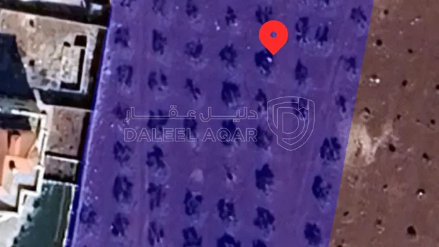 أرض في الرمثا بالقرب من مسبحقصر النخيل - 120,000 دأ - صورة 1