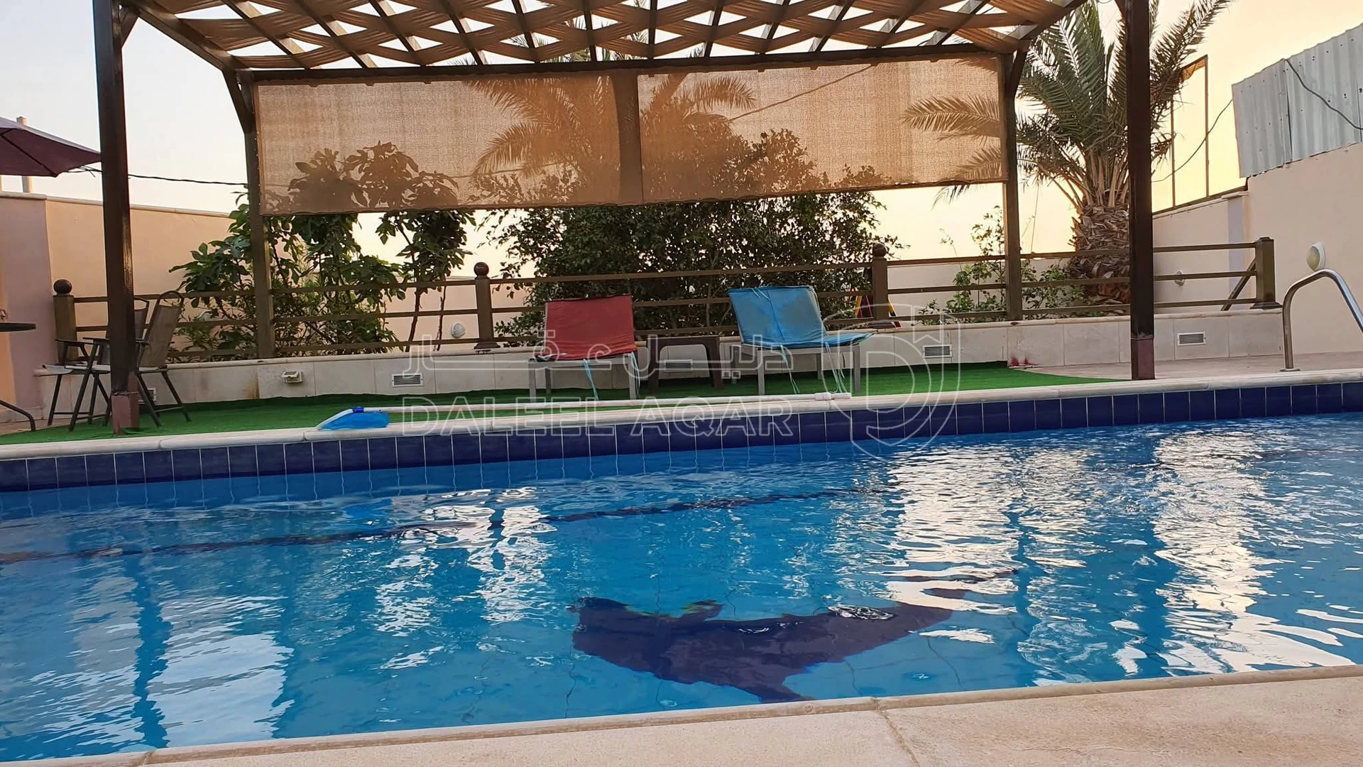 مزرعة/شاليه في الشونة الجنوبية - حي الروضة - 75,000 دأ - صورة 4