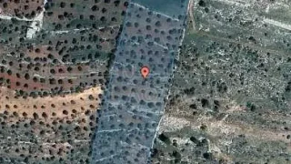 أرض في عجلون _ مزرعة الشكارة  - 195,601 دأ - صورة 1