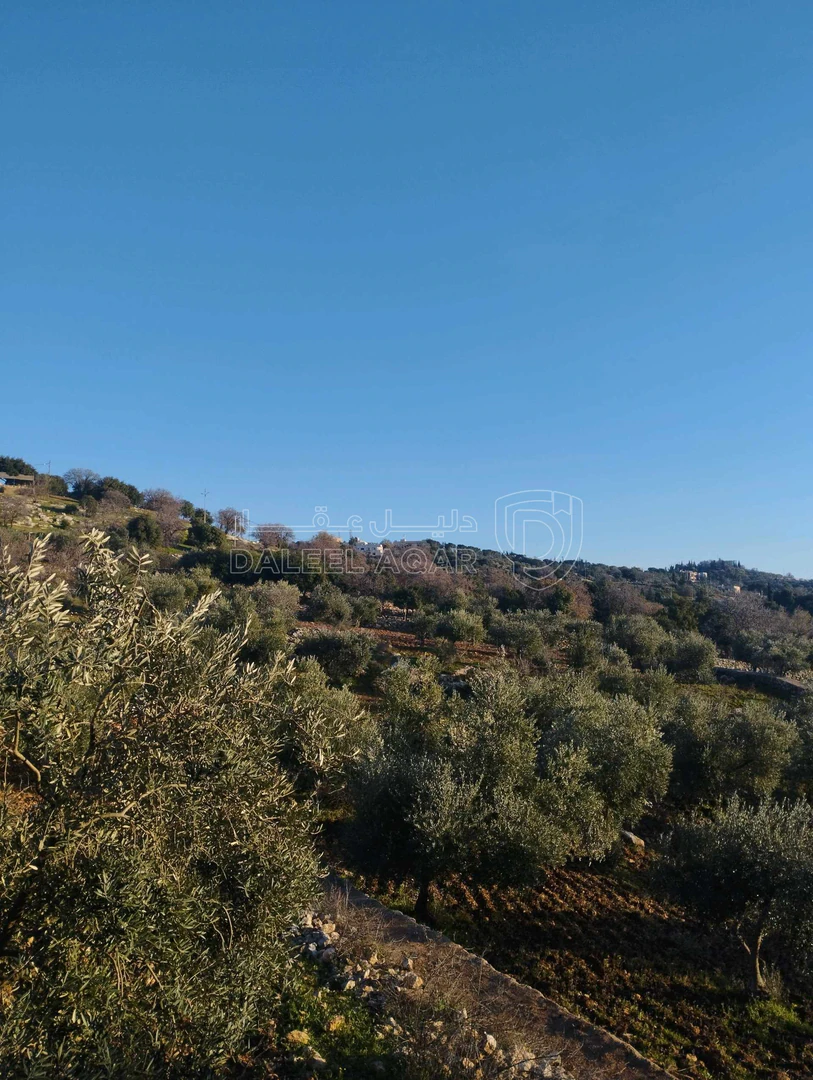 أرض في ماحص - 1,175,000 دأ - صورة 1