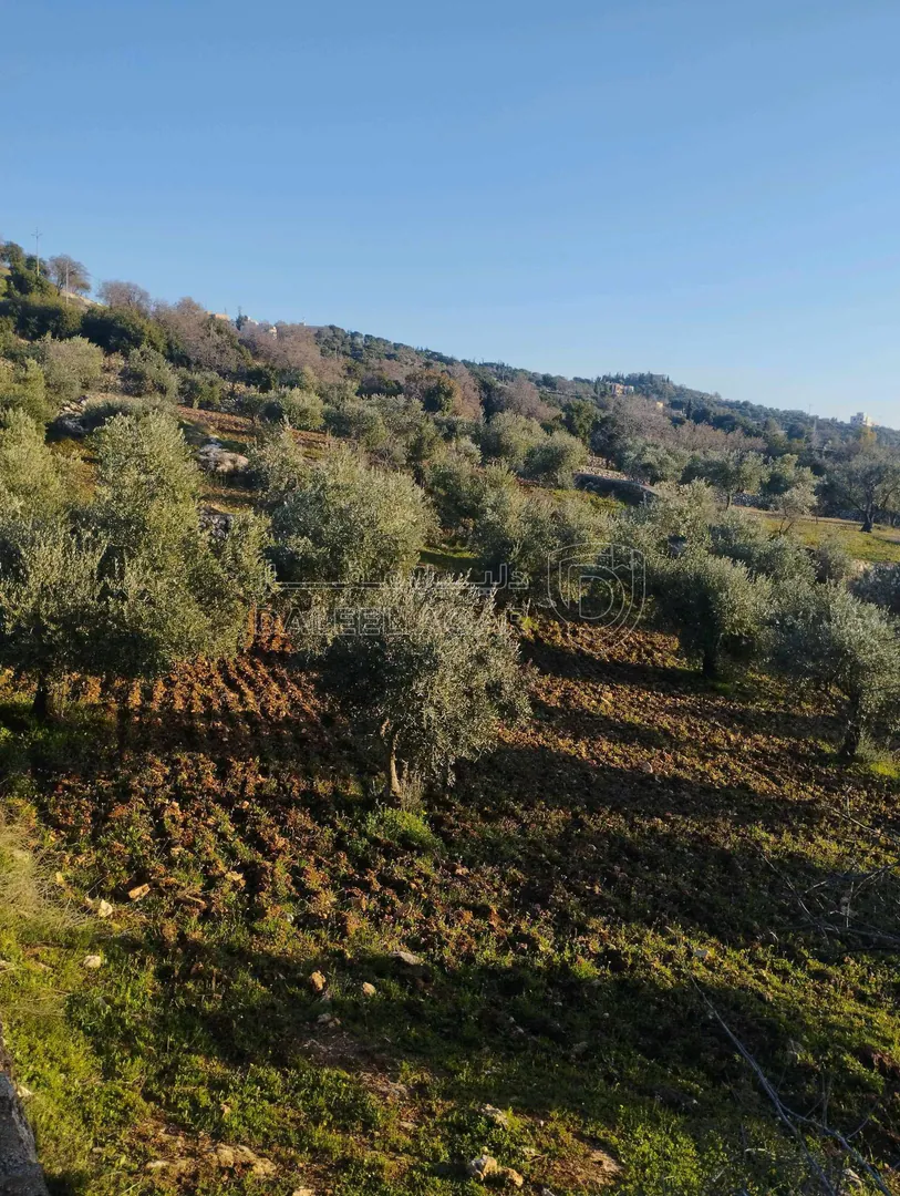 أرض في ماحص - 1,175,000 دأ - صورة 1