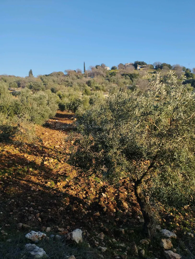 أرض في ماحص - 1,175,000 دأ - صورة 1