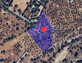 أرض في ماحص  - 1,175,000 دأ - صورة NaN