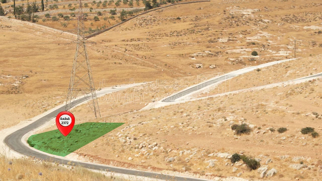 أرض في ارض للبيع في شفا بدران -زينات الربوع - 45,000 دأ - صورة NaN