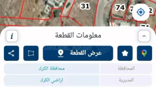 أرض - الثنيه الحي الغربي  - 27000 دأ